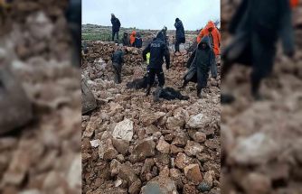 Mardin’de ahırın çökmesi sonucu 30 küçükbaş telef oldu