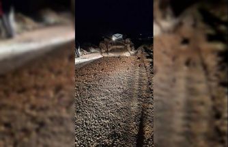 Mazıdağı’nda otomobil takla attı: 5 yaralı