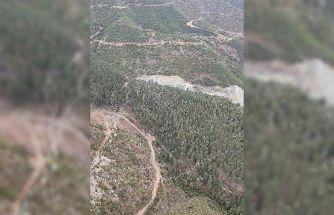 Mersin’de ak pelikanların dansı görsel şölen sundu