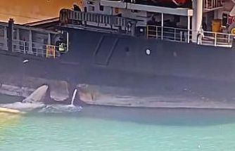 Mersin’de denizi kirleten gemiye 13 milyon TL ceza kesildi, gemi rıhtıma bağlandı