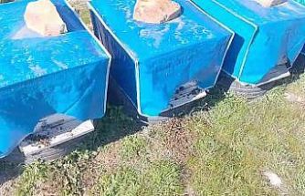 Mersin’de zamansız zirai ilaçlama arıların ölümüne sebep oldu