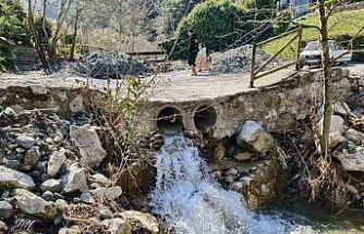 Mesir Tabiat Parkı’na ziyaretçi akını