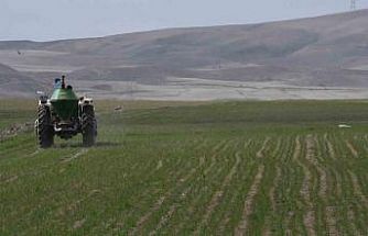 Mevsim yağmurları öncesi çiftçiler gübre mesaisine başladı