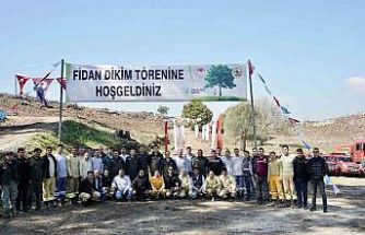 Milas’ta yanan sahalar fidanlarla canlanıyor