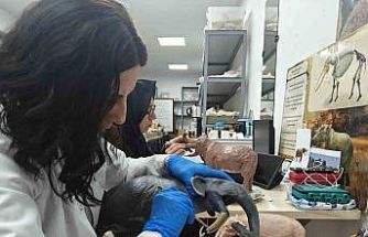 Milyon yıllık tarih minyatürleştiriliyor