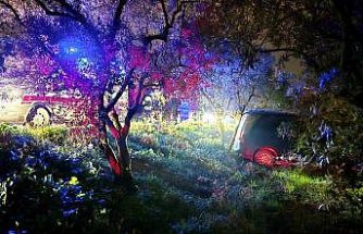 Mudanya’da kazadan kaçan sürücü zeytinliğe daldı