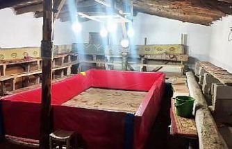 Muş’ta horoz dövüşü yapan 23 kişiye ceza