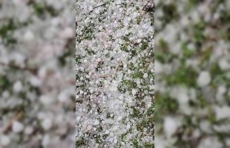 Niğde’de dolu yağışı etkili oldu