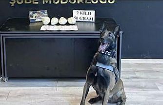 Ocak ayının en başarılı narkotik köpeği "Jardi" oldu