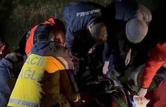 Ormanda kaybolan yaşlı kadın baygın halde bulundu