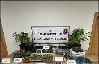 Ormanda uyuşturucu ticaretine jandarma engeli: 1 tutuklama