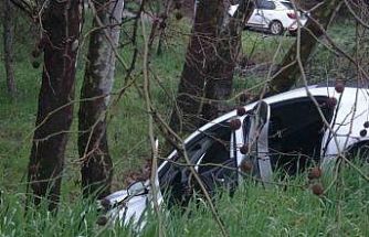 Pendik’te virajı alamayan sürücü ağaca çarptı