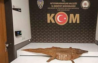 Polis durdurduğu araçta timsah derisi ele geçirdi