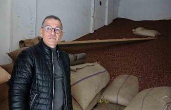 Ramazan Bayramı öncesi fındık fiyatları 240 liraya geriledi