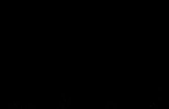 Safranbolu’da boz ayı fotokapanla görüntülendi