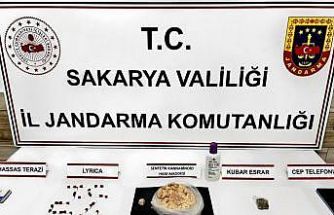 Sakarya’nın iki ilçesinde zehir tacirlerine operasyon: 2 tutuklama