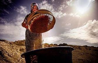 Salihli’de "Hayatın İçinden Kadın Fotoğrafları" sanal sergisi açıldı