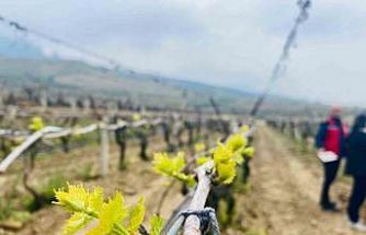 Salihli’de yağışlar Ölükol riskini artırdı