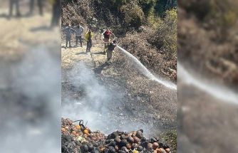 Samandağ’da bahçede çıkan yangın büyümeden söndürüldü