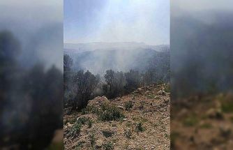 Samandağ’da ormanlık alanda çıkan yangın kısa sürede kontrol altına alındı