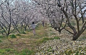 Sarıgöl’de kartpostallık manzara