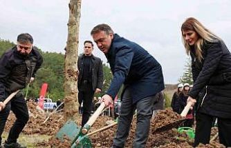 Şeyh Edebali’nin vefatının 700. yıl dönümünde 700 çınar toprakla buluştu