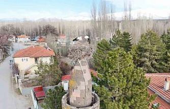 Şıhbarak mahallesinde baharın müjdecisi leylekler yuvalarına döndü