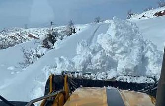 Siirt’te kardan kapanan 120 köy yolunun 105’i açıldı