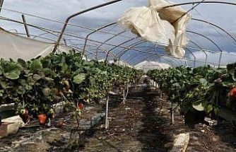 Silifke’de hortum seraları yerle bir etti