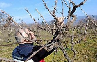 Simav’da yem bitkileri ve hububat ekili alanlarda verim çalışması yapıldı