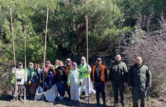 Sinop ormanlarında zararlılara karşı biyolojik savaş