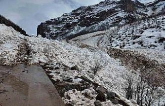Şırnak’a son dönemlerin en büyük çığı düştü
