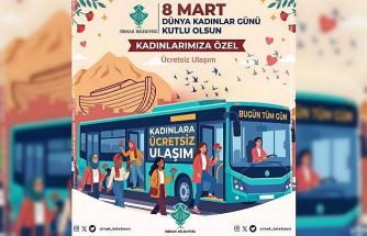 Şırnak’ta 8 Martta kadınlara ulaşım ücretsiz