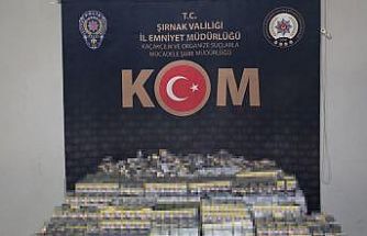 Şırnak’ta narkotik, kaçakçılık ve asayiş operasyonu: 3 tutuklama