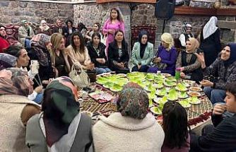 Siverek’te 8 Mart Dünya Kadınlar Günü, etkinlikle kutlandı