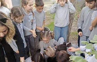 Söke’de Orman Haftası’nda fidanlar gelecek için toprakla buluştu