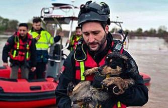 Sular altında kalan bağ evinde mahsur kalan iki köpeği belediye ekipleri kurtardı