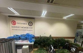 Sultanbeyli’de kenevir serasına baskın: 21 kilo Hint keneviri ele geçirildi