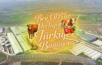 Suluova Besi OTB’de 15 bin 650 büyükbaş kapasite, bin 500 kişiye istihdam