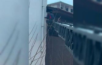 Takıldığı ipte asılı kalan güvercin kurtarıldı