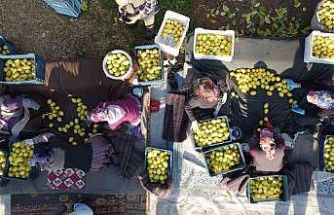 Tarım-ÜFE yıllık yüzde 40,10 arttı