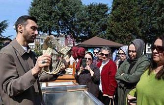 Tarımsal atıkların sanatsal kağıda dönüşüm yolculuğu