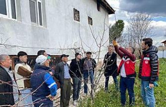 Tavşanlı’da meyve üreticilerine budama eğitimi