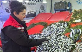 Tekirdağ’da su ürünlerine sıkı denetim