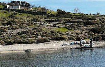 Tilkişen otu toplamaya gittiler, koyu temizlediler