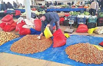 Tohumluk kuru soğanda üretim arttı, fiyat 150 liradan 100 liraya düştü
