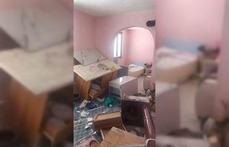 Trabzon’da yayla evine giren ayı ortalığı savaş alanına çevirmiş