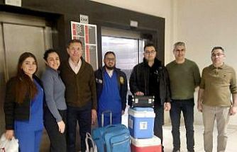 Trafik kazasında hayatını kaybeden vatandaşın organları umut oldu