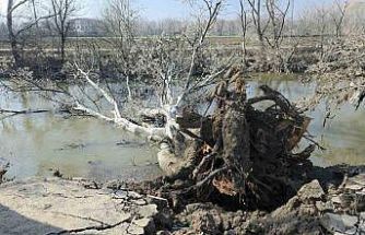 Tunca Nehri kıyısında toprak kayması: 9 yıl sonra gelen taşkınlar zemini etkiledi