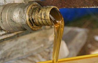 Türk çam balının dünya pazarındaki ekonomik payı arttırılacak